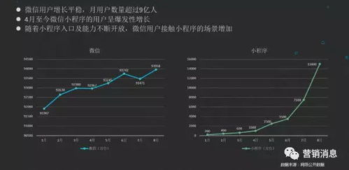 小程序 企業騰飛的加速器與財富創造的催化劑